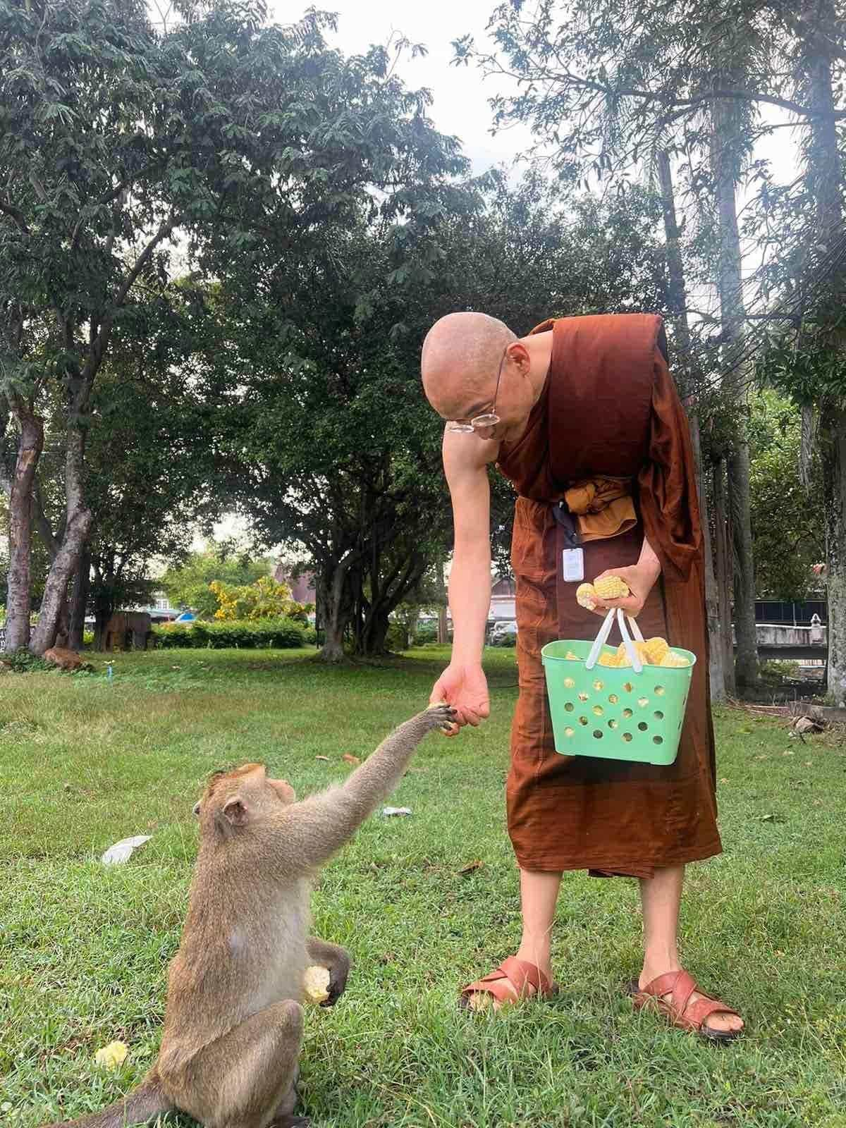 ၶေႃႈၵႂၢမ်းသူင်ႇသင်,  ၸဝ်ႈၶူးလူင် ပုၼ်ႈတႃႇပီၵဝ်ႇ 2022